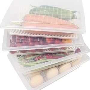 Food Storage Container, Plastic Food Containers with Removable Drain Plate and Lid, Stackable Portable Freezer Storage Containers – Tray to Keep Fruits, Vegetables, Meat and More (4,Large)